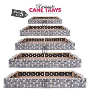 Set of 5 - Silver Rectangle Cane Baskets for Gifting or Wedding decoration